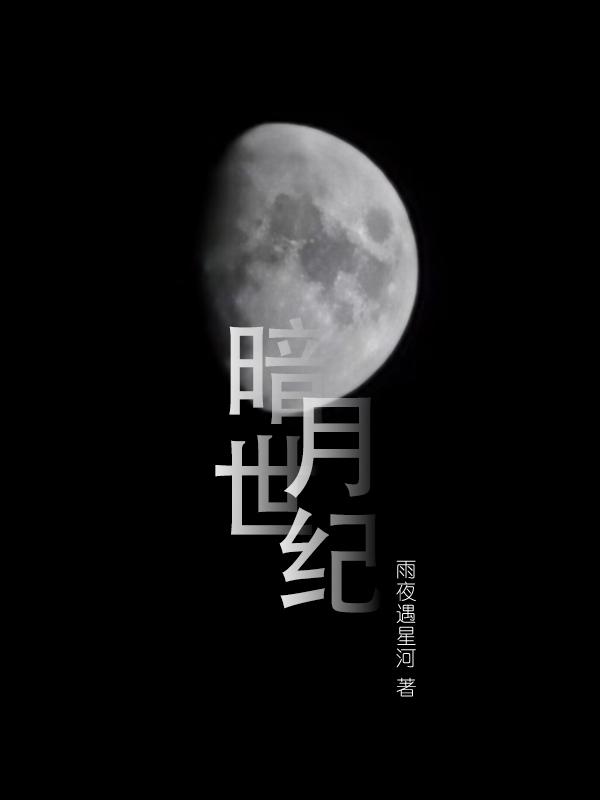 暗月世界打孔